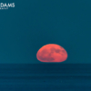 Buoy Moonrise