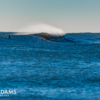 Mindsurf Monday