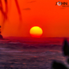 Shacks Sunset