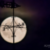 Summer Full Moon Vane