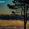 tree-smoke